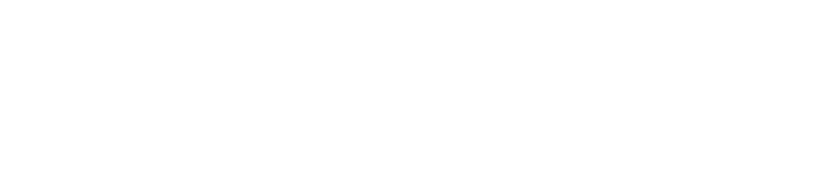 Seller Capital